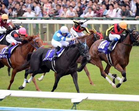 牝馬三冠レースすべて２着だったヴィルシーナが悲願の栄冠獲得に挑む。photo by Nikkan sports