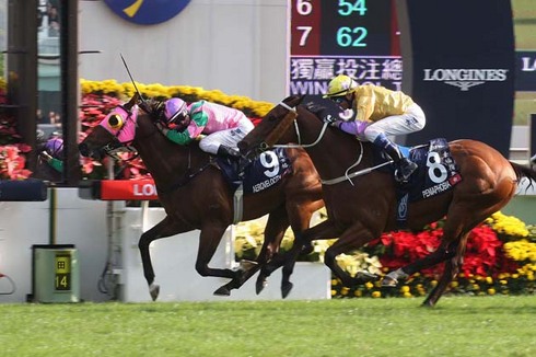 外国調教馬で唯一の参戦、エアロヴェロシティ（左）も有力馬の１頭。 （C)The Hong Kong Jockey Club