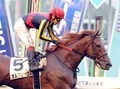 【競馬】過去３年のダービー馬は夏デビュー！　今年注目は札幌の新馬戦!?