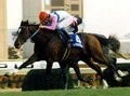 【今日は何の日？】トウカイテイオーが有馬記念を制す