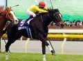 【今日は何の日？】ウオッカがジャパンカップ制覇