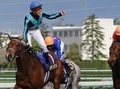 【競馬】牝馬の頂上決戦オークス。「美人予想家」の推奨馬はこれだ！
