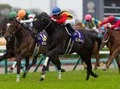 【競馬】右回りと左回り、競走馬には本当に得意な回りがあるのか