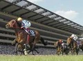 【競馬】ＮＨＫマイルカップ、人気馬３頭に「死角あり」
