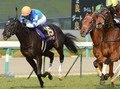 【競馬】オークスで、ディープ産駒がついに『負のレッテル』を打ち剥がす!?