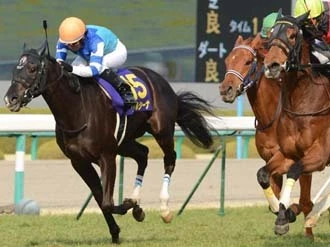 【競馬】オークスで、ディープ産駒がついに『負のレッテル』を打ち剥がす!?