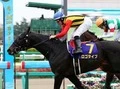 【競馬】二冠達成なるか!?　ロゴタイプに託された「血の運命」