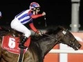 【競馬】激戦のジャパンカップ。８カ月ぶりヴィクトワールピサに勝機はあるか？