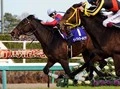 【競馬】有馬記念（２）過去にブエナを「負かした」３頭がサプライズを起こす！