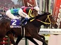 【競馬】今こそピークのブエナビスタが３度目の有馬で有終の美を飾る!?