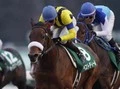 【競馬】有力馬ラッシュ！　ディープ２年目産駒のブレイクはまだ続く!!