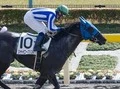 【競馬】ＮＨＫマイルＣ、 断然人気のエーシントップを負かす馬はいるか