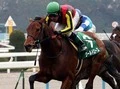 【競馬】福永祐一が語る、牡馬クラシックの行方  「ディープの子のライバルはディープの子」