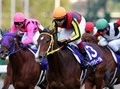 【競馬】桜花賞、「一強」ジョワドヴィーヴルに死角はあるか
