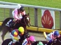 【今日は何の日？】15歳馬ミスタートウジンが引退
