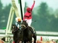 【今日は何の日？】ナリタブライアンが史上５頭目の三冠馬に