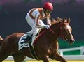 【競馬】 ジェンティルドンナに勝った「あの馬」がヴィクトリアマイルを制す