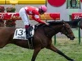 【競馬】 完成度がモノ言うオークス。狙いは桜花賞組のレッドオーヴァル