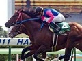 【競馬】馬券必勝法！　今年の夏競馬は"格言"に従うのがおトク！