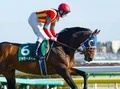【競馬】天皇賞・春、大穴は豪脚健在の「９歳馬」ジャガーメイル