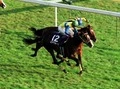 【競馬】常識を覆した「女帝」。 永遠に受け継がれるエアグルーヴの魂