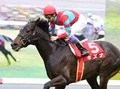 【競馬】キズナがダービーで「本命」と言われるワケ
