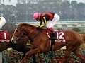 【競馬】春の天皇賞、暴走オルフェーヴルは本当に『更生』しているか