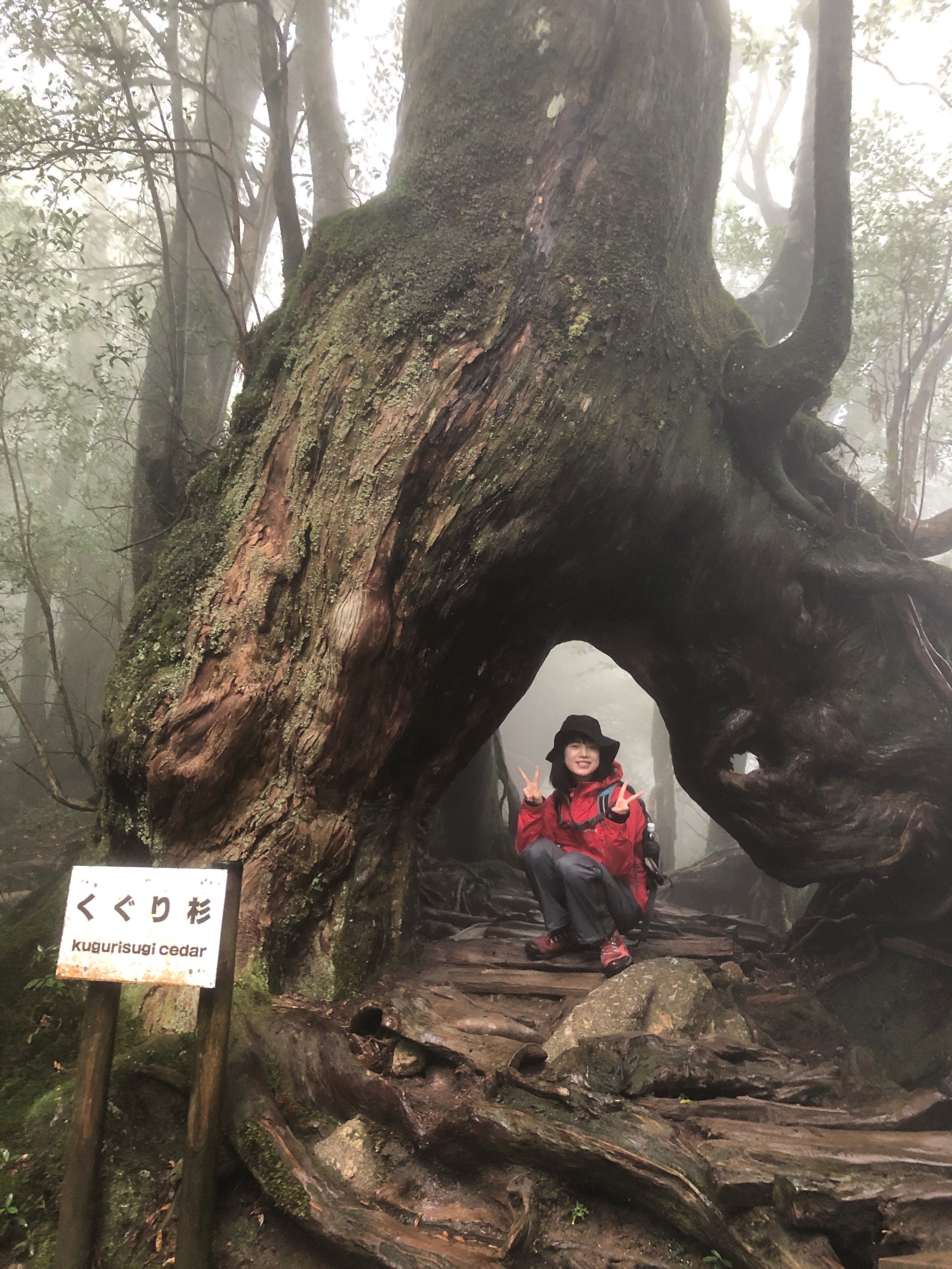 屋久島でハイキングするテレビ朝日アナウンサーの弘中綾香さん（写真＝本人提供）