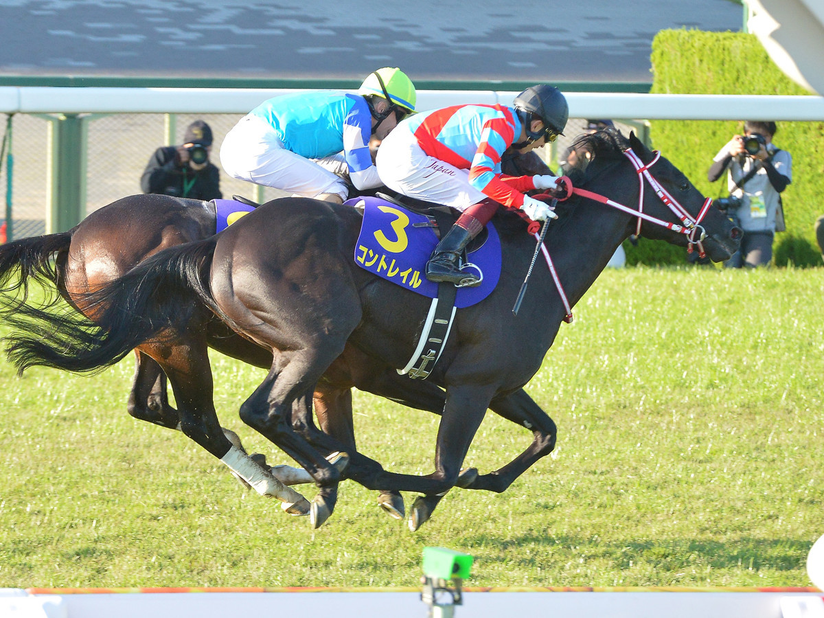 昨年の菊花賞で無敗の３冠馬となったコントレイルは花道を飾れるかphoto by Sankei Visual記事を読む＞ジャパンＣで引退の３冠馬コントレイルをデータは後押し。好敵手シャフリヤールの勝算は？