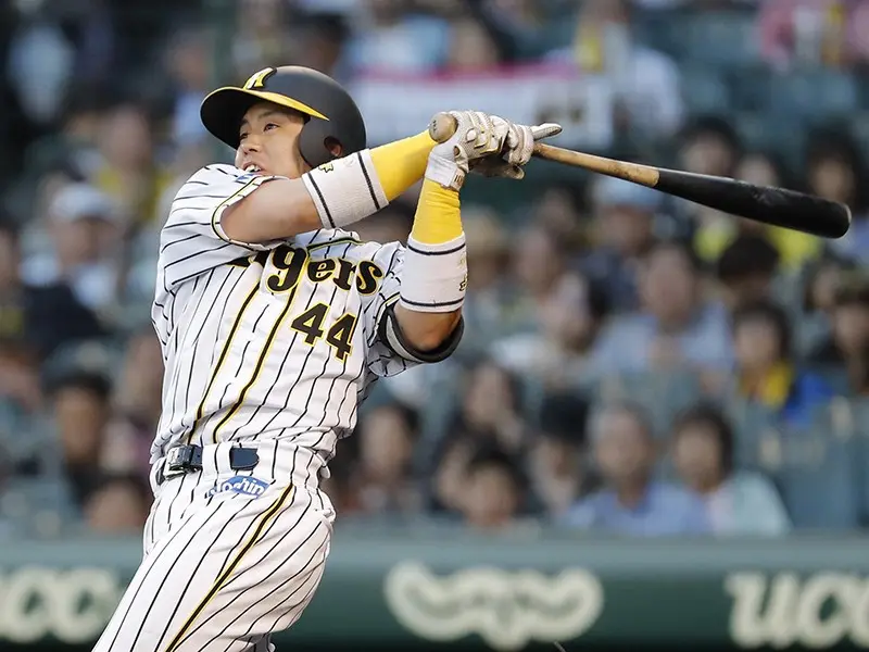 珍しい 阪神タイガース 梅野隆太郎選手 Npbマーク入りバット バット