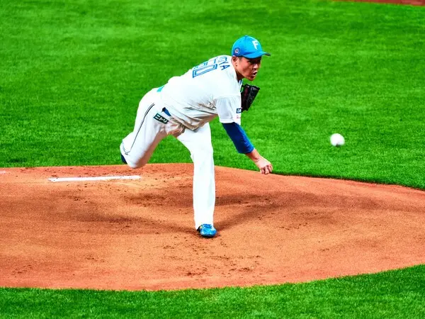 引退試合で打者ふたりと対戦し、無安打に抑えた鍵谷陽平氏　photo by Hosono Shinji