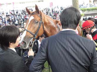 【競馬】実現できたオルフェvs世界最強馬。海外遠征に求められる新たな選択