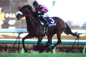 2007年の有馬記念で９番人気ながら見事な勝利を飾ったマツリダゴッホ。