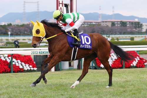 阪神ジュベナイルフィリーズでは惜敗したものの、牝馬クラシックで躍進が期待されるハープスター。