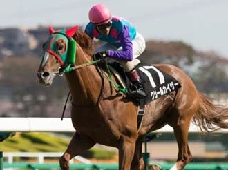 【競馬】アルゼンチン共和国杯、穴は「変身」クリールカイザー関連記事キーワードSportiva Presents編集部のオススメ人気記事ランキングこの記事を読んだ人にオススメSportiva Presentsスペシャルコンテンツ注目フォト