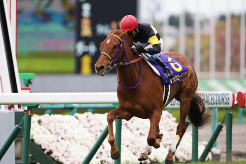 牝馬一冠目の桜花賞はレッツゴードンキが圧勝した。photo by Murata Toshiyuki