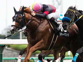【競馬】菊花賞は「上がり馬」スティーグリッツの大駆けに期待