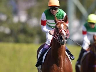 「３戦３勝」狙うドレッドノータス。皐月賞に新たな主役登場かキーワードSportiva Presents編集部のオススメ人気記事ランキングこの記事を読んだ人にオススメSportiva Presentsスペシャルコンテンツ注目フォト