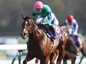 ダービー目前 蛯名騎手が語るディーマジェスティ 強さの秘密 競馬 集英社のスポーツ総合雑誌 スポルティーバ 公式サイト Web Sportiva