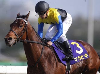 最強世代の 最終番付 ダービー馬に最も近い馬がハッキリ見えた 競馬 集英社のスポーツ総合雑誌 スポルティーバ 公式サイト Web Sportiva 最強世代の 最終番付 ダービー馬に最も近い馬がハッキリ見えた 競馬 集英社のスポーツ総合雑誌 スポルティーバ 公式サイト Web Sportiva