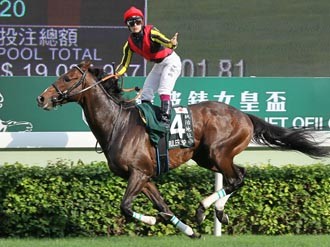 注目はディープ２世vsキンカメ２世 16新種牡馬紹介 競馬 集英社のスポーツ総合雑誌 スポルティーバ 公式サイト Web Sportiva