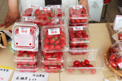 札幌競馬場では地元の新鮮な野菜も販売していた