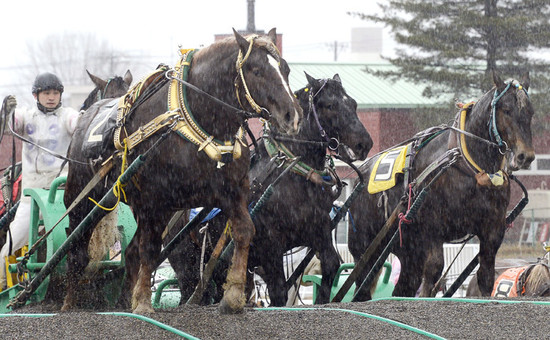 札幌からばんえい競馬が行なわれている帯広へ。photo by Kyodo News