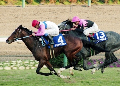 1993年の有馬記念。１年ぶりの休み明けのレースで勝利を挙げたトウカイテイオー（手前）photo by Kyodo News