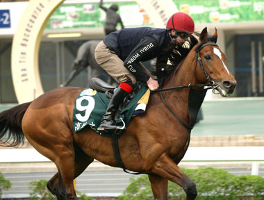 日本馬への応援を胸に秘め、香港国際競走はこの外国馬でガッポリ稼ぐ