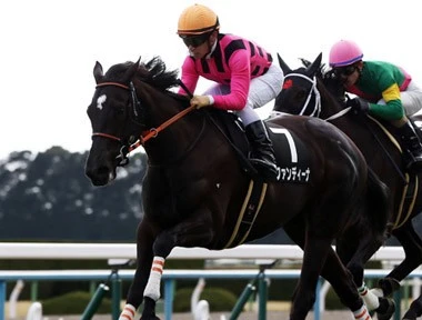 「ファンディーナ」の検索結果岩田騎手ゾッコン。激アツ牝馬戦線に新たに現れた大器ファンディーナSportiva Presents編集部のオススメ人気記事ランキングこの記事を読んだ人にオススメSportiva Presentsスペシャルコンテンツ注目フォト