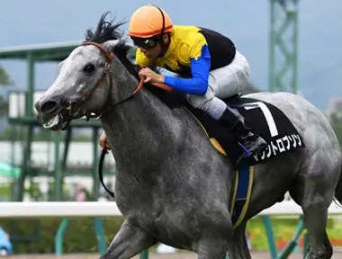 名手モレイラが魔法 マウントロブソンが札幌記念で 大化け する 競馬 集英社のスポーツ総合雑誌 スポルティーバ 公式サイト Web Sportiva