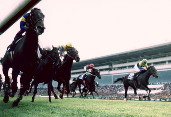 2000年のスプリンターズＳで、強豪各馬を抑えて大番狂わせを演じたダイタクヤマト（左端）