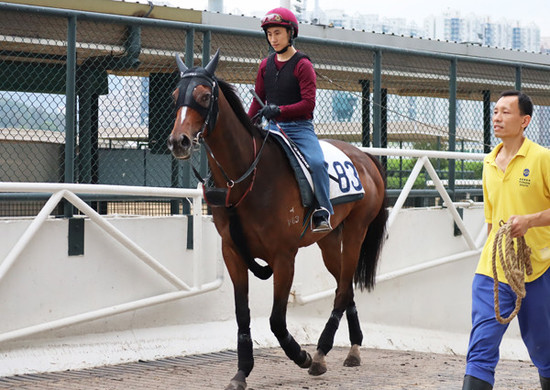 宝塚記念に挑戦する香港馬のワーザー