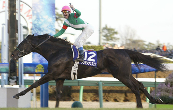 天皇賞・秋と有馬記念を２連覇し、種牡馬としても優秀なシンボリクリスエス